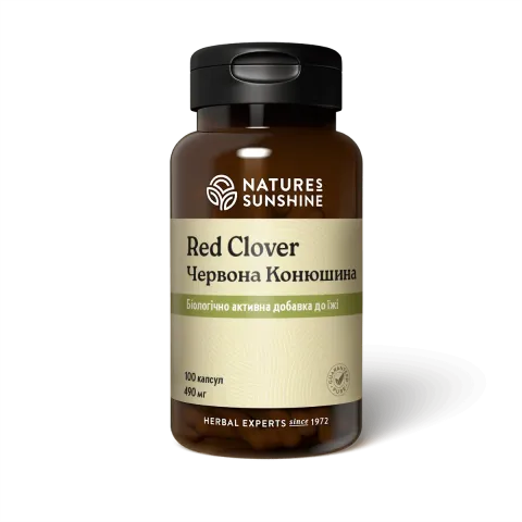 Червона Конюшина